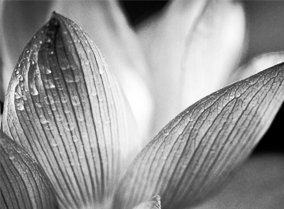 绿色无毒简单易用的免费电话在线轰炸